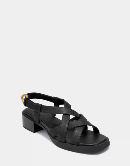 Daily *Final Sale*