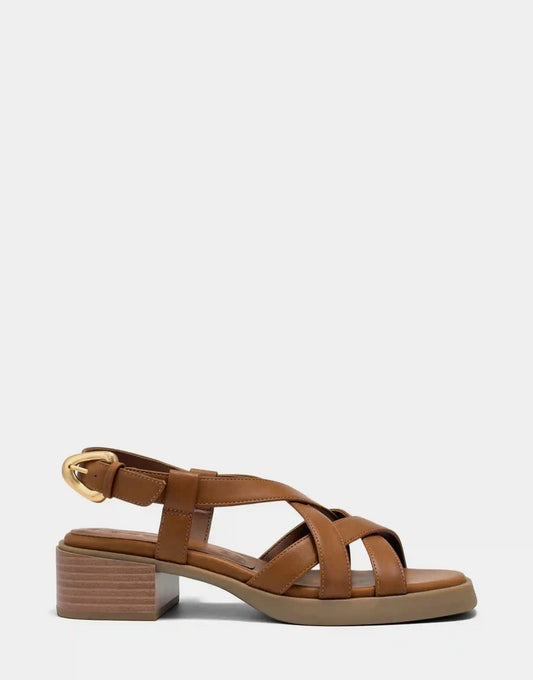 Daily *Final Sale*
